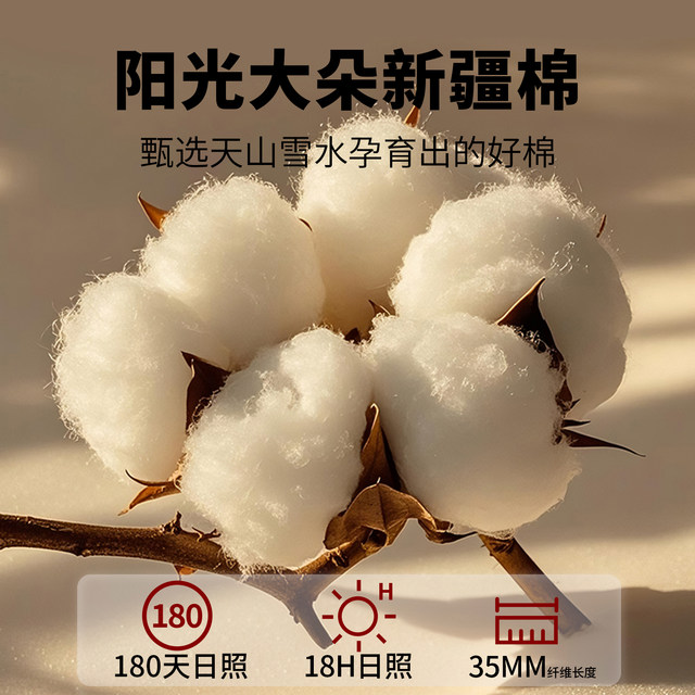 Xinjiang cotton quilt core with quilt cover spring and autumn quilt winter thickened warm quilt student dormitory single quilt