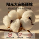 Xinjiang cotton quilt core with quilt cover spring and autumn quilt winter thickened warm quilt student dormitory single quilt