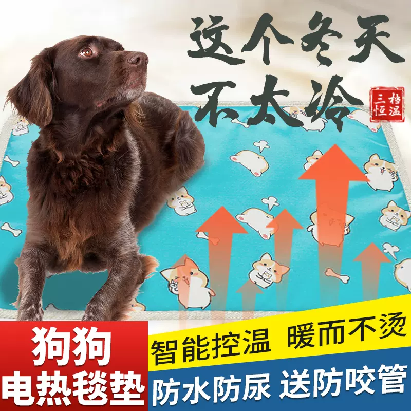 狗狗保暖电热毯 新人首单立减十元 21年12月 淘宝海外