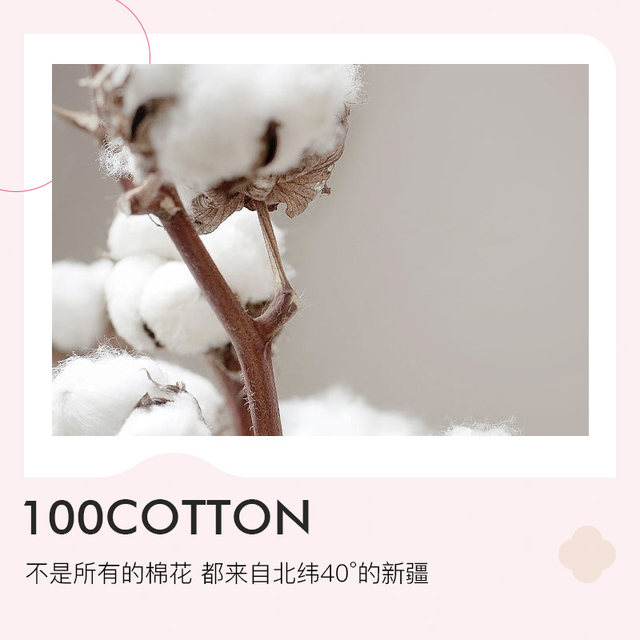 Jialiya high-end 100 cotton four-piece set pure cotton embroidered quilt cover sheets 2025 new light luxury bedding