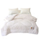 2023 quilt core winter quilt thickened 10Jin [Jin equals 0.5kg] soy protein maternal and infant grade touch comfortable and skin-friendly bedding