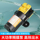 Electric sprayer water pump 12v spray new model pesticide spraying agricultural high-voltage accessories special motor
