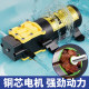 Electric sprayer water pump 12v spray new model pesticide spraying agricultural high-voltage accessories special motor