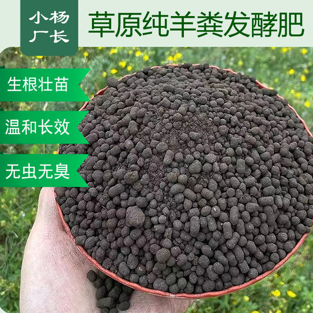 Xiaoyang Factory Director Sheep Manure Fermentation Organic Fertilizer Inner Mongolia Pure Sheep Manure Flower Fertilizer Organic Fertilizer Vegetable Special