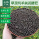 Xiaoyang Factory Director Sheep Manure Fermentation Organic Fertilizer Inner Mongolia Pure Sheep Manure Flower Fertilizer Organic Fertilizer Vegetable Special