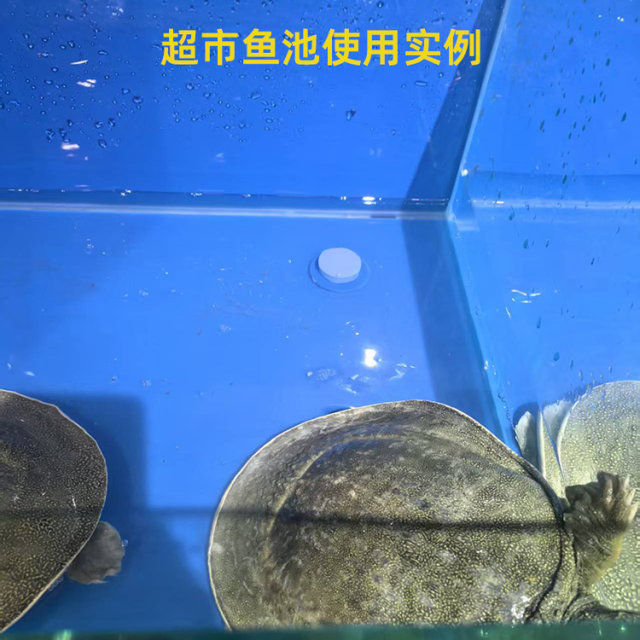 Rubber plug sealing water blocking drainage drainage seafood tank fish tank sewage accessories bulkhead plug water pipe rubber plug