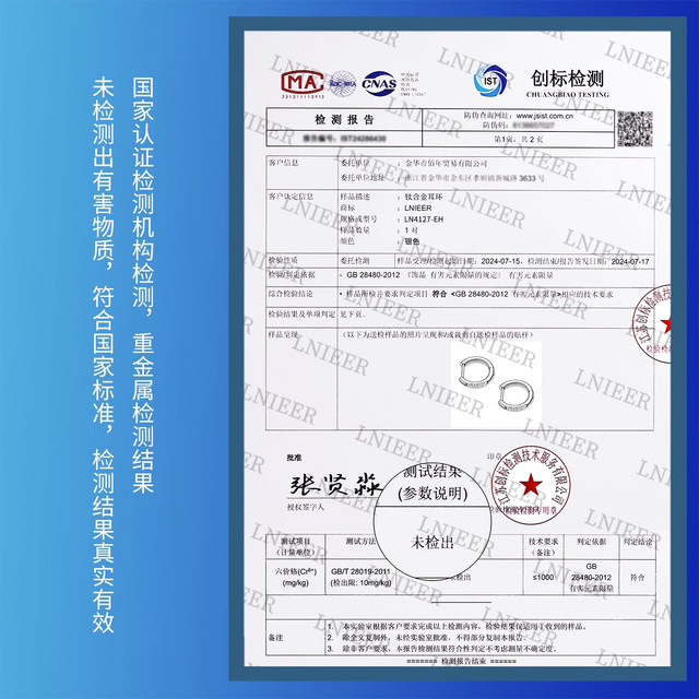 F136 titanium alloy earrings for women medical implant grade D-shaped straight-needle plain earrings and ear piercing earrings ear bone nails