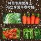Special soil for nutritional soil for vegetable cultivation indoor balcony household vegetables organic soil seedling cultivation gardening soil flower soil official