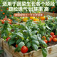 Special soil for nutritional soil for vegetable cultivation indoor balcony household vegetables organic soil seedling cultivation gardening soil flower soil official