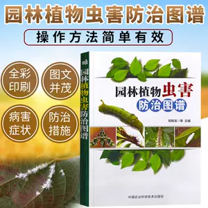 景观苗木 新人首单立减十元 22年9月 淘宝海外