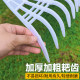 Plastic rake, thickened grass rake, agricultural glue rake, dead leaf rake, lawn rake, fallen leaf rake, leaf rake, iron rake, garden tools