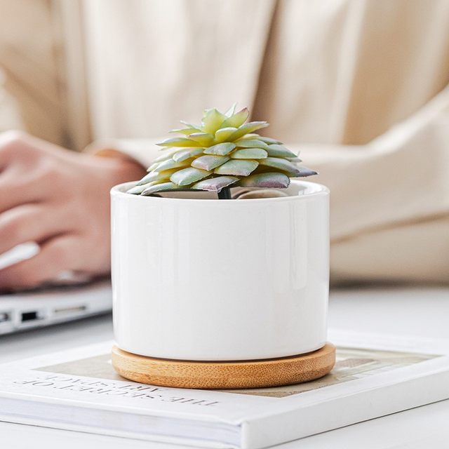 Ceramics Polynut Basin Creative Interior White Pot Modern Home Gardening Cross -border White Porcelain Basin 2024