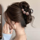 Temperament retro pearl grab clip small hair volume low high-end feeling 2025 new female shark clip hair clip back head hair accessories