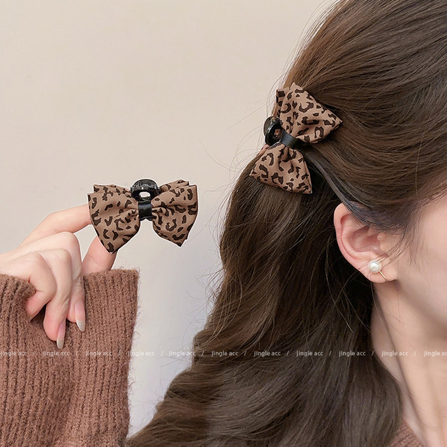 Bangs small grabber female 2025 new high-end half-tied hairpin side clip side hairpin princess head clip headwear