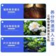 Plant regeneration agent resurrection liquid flower green plant potted plant general light rod yellowing money tree succulent growth nutrient solution