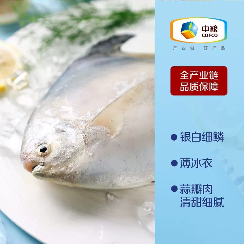 银平鱼-新人首单立减十元-2021年11月淘宝海外