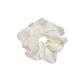 nyunyu Korean jewelry Dongdamen hairpiece head jewelry head rope satin spring and summer new hair rope solid colored large intestine hair circle