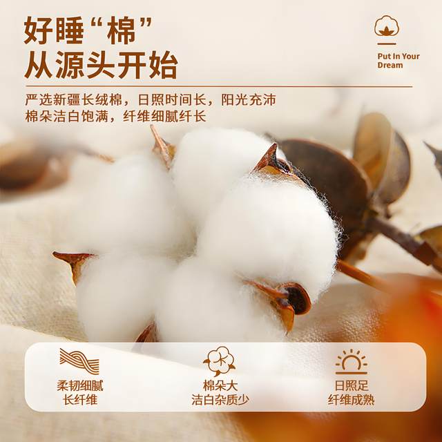 Xinjiang cotton quilt quilt 100% first-class pure cotton quilt core cotton batting mattress quilt thickened autumn and winter quilt