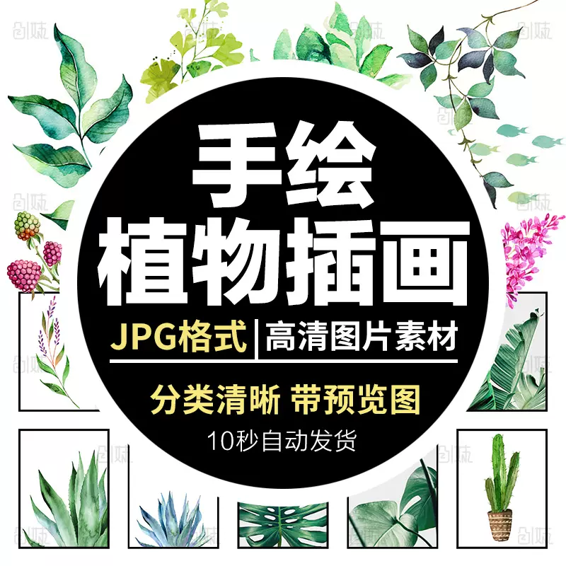 简约水彩手绘插画绿色小清新植物仙人掌装饰画高清芯jpg图片素材
