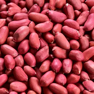 葵花籽仁巧克力 新人首单立减十元 22年6月 淘宝海外