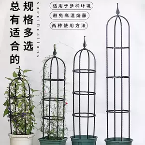 阳台专用葡萄花架 新人首单立减十元 22年3月 淘宝海外