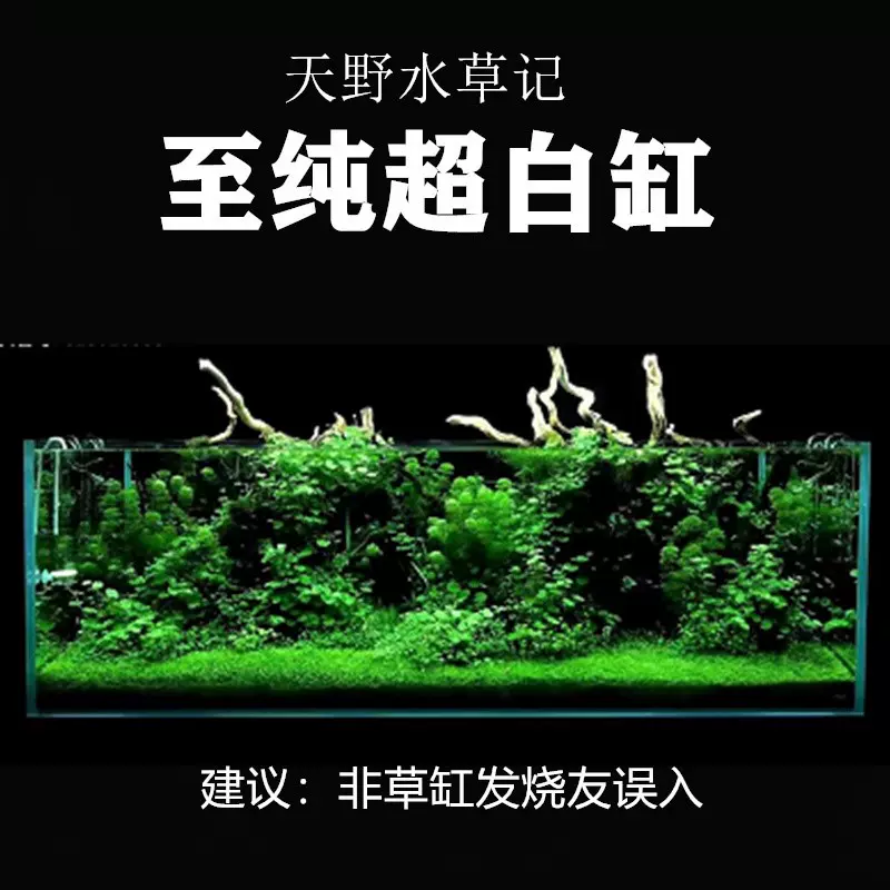 至纯金晶超白鱼缸水草记ada造景玻璃雨林海水缸鱼缸