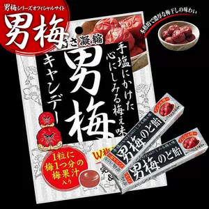 Nobel男梅糖梅子 新人首单立减十元 22年10月 淘宝海外