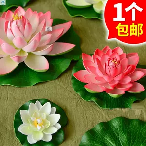 睡莲水草 新人首单立减十元 22年2月 淘宝海外