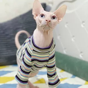 小猫大人 Top 98件小猫大人 22年11月更新 Taobao 小猫大人 Top 98件小猫大人 22年11月更新 Taobao