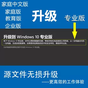 windows10pro - Top 100件windows10pro - 2023年12月更新- Taobao