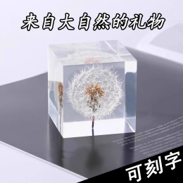 New Year gift boys and girls birthday valentine dandelion specimen resin plant pendulum four-leaf clover dripping rubber flower