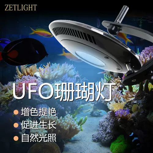 Led海水灯8 新人首单立减十元 22年1月 淘宝海外