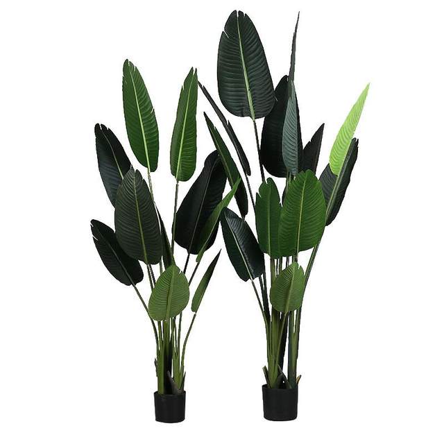 Simulation Green Plant Large Potted Traveler Banain Leaf Banyan Tree Horticultural Plant Tiger Pipchida Turtle Back Home Decoration Window
