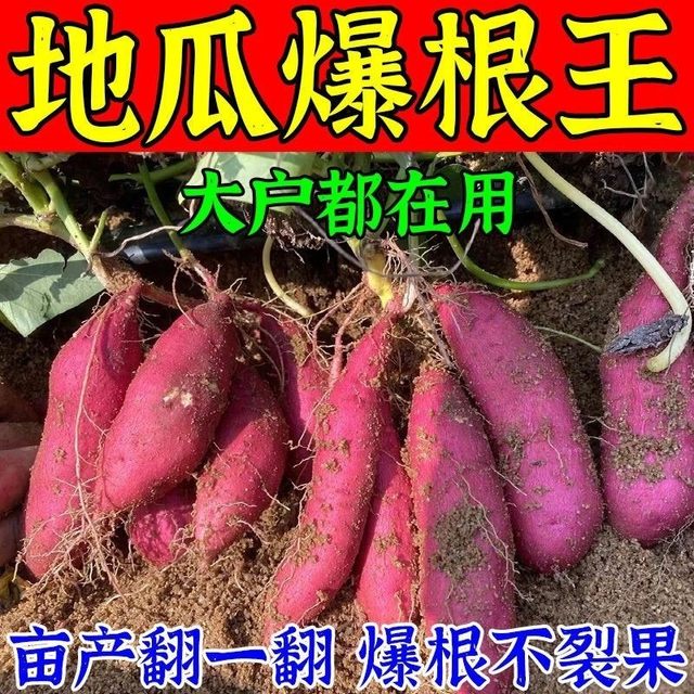 New type of horticultural sweet potato fertilizer, special expansion and sweetener, strong root and seedling prevention, fruit cracking prevention, disease prevention and yield increase artifact