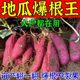 New type of horticultural sweet potato fertilizer, special expansion and sweetener, strong root and seedling prevention, fruit cracking prevention, disease prevention and yield increase artifact