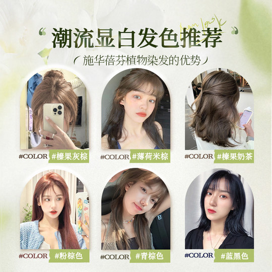 Bleaching-free hazelnut gray brown hair dye 2024 popular color hair dye at home bubble natural plant pure women