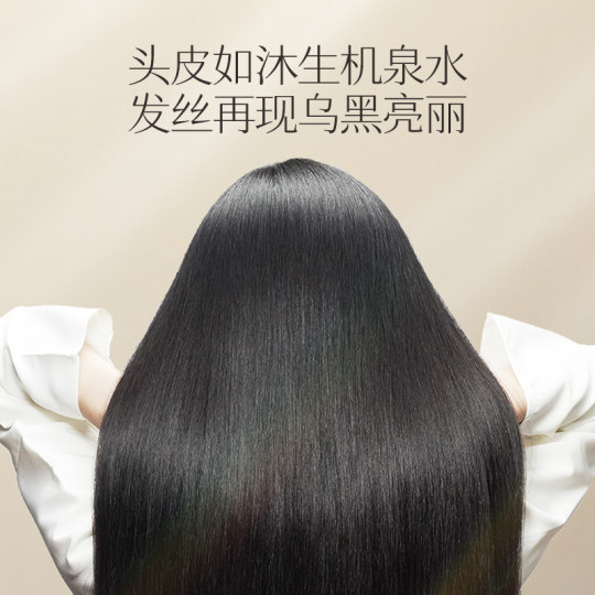 Changfa Xiaozhai Taoji Water Shampoo Ginseng Polygonum multiflorum plant Chinese medicine shampoo decoction oil control anti-dandruff black hair solid hair
