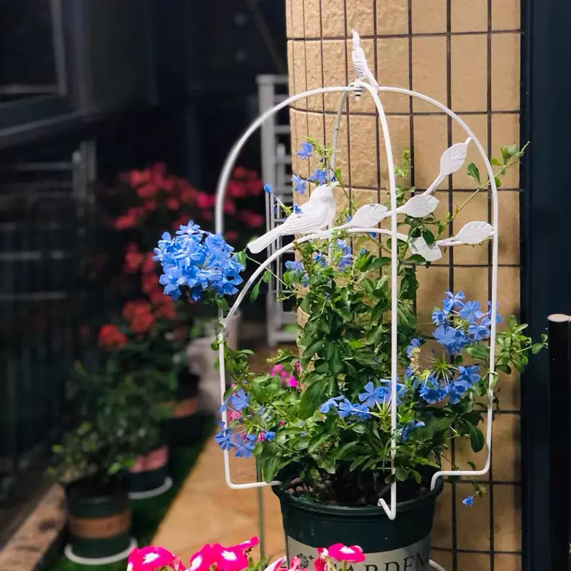 小鸟笼花盆 新人首单立减十元 21年11月 淘宝海外