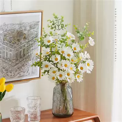 同城鲜花洋甘菊 新人首单立减十元 22年1月 淘宝海外