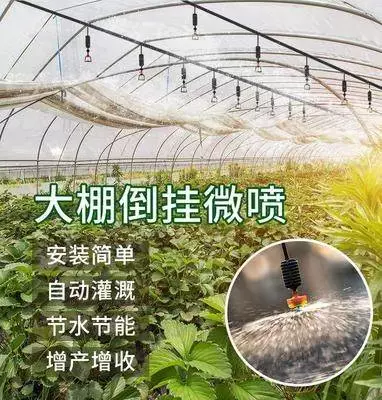 消毒液灌 新人首单立减十元 22年2月 淘宝海外 消毒液灌 新人首单立减十元 22年2月 淘宝海外