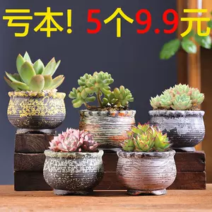 大口径植物土 新人首单立减十元 22年4月 淘宝海外