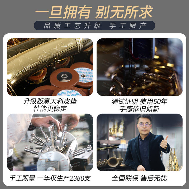 
RLIIINS French Rollins Carolin alto saxophone c5 e flat saxophone instrument professional performance