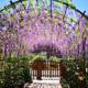 Simulated Wisteria Flower Fake Flower Ceiling Internet celebrity Flower Vines Indoor Wedding Roof Scenic Area Decorative Plastic Vine Plants