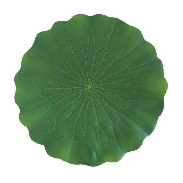 Simulated banana leaf barbecue fruit bottom placing decoration leaves sushi restaurant decoration banana leaf decoration