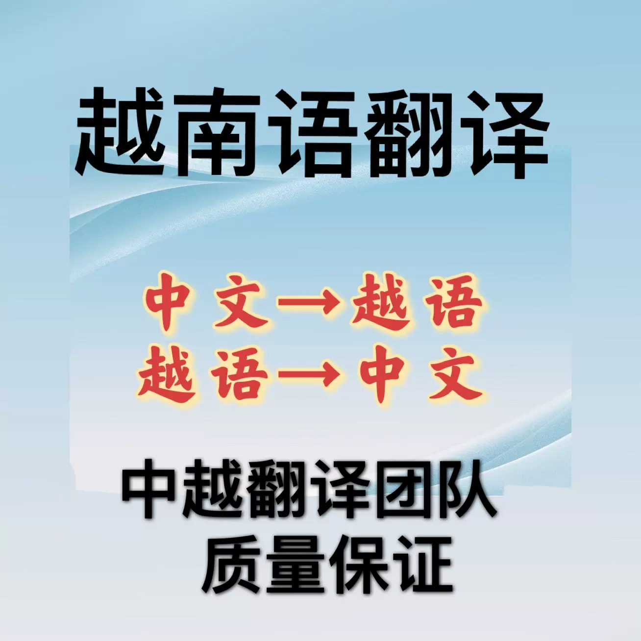 越南翻译 新人首单立减十元 2021年12月 淘宝海外