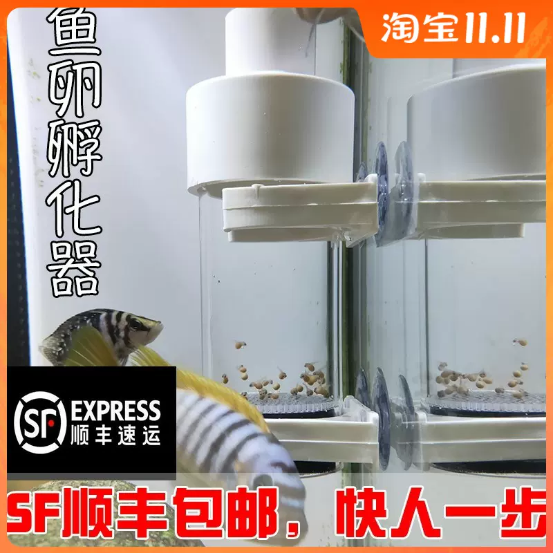 异形鱼卵孵化器 新人首单立减十元 21年11月 淘宝海外