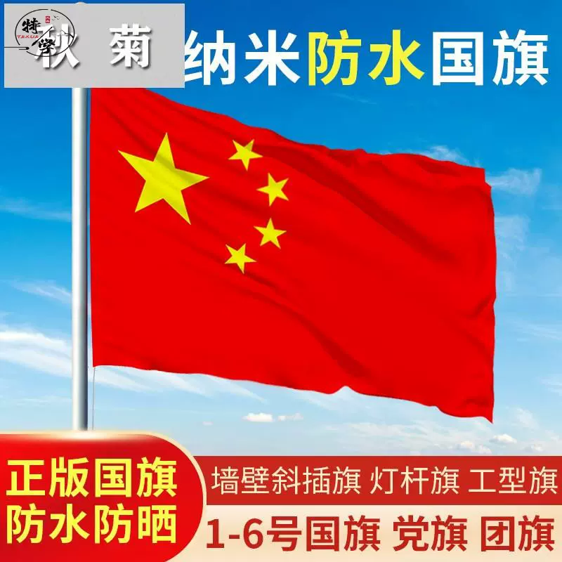 壁挂式中国国旗 新人首单立减十元 21年11月 淘宝海外