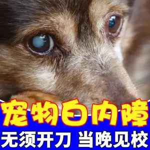 犬猫白内障 新人首单立减十元 22年9月 淘宝海外