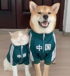 狗衣运动的 新人首单立减十元 22年3月 淘宝海外