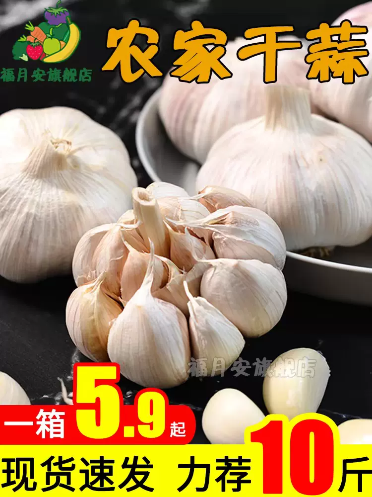 多瓣干蒜头 新人首单立减十元 2021年11月 淘宝海外